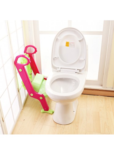 Potty Toilet Trainer Seat with Ladder